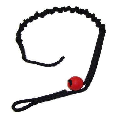 PKS Pump Leash